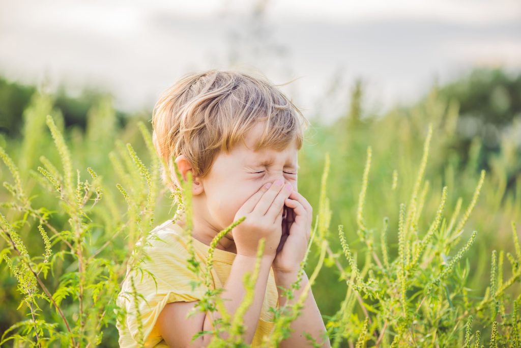 Маленький мальчик в желтой майке чихает из-за аллергии на цветущую амброзию